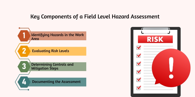 Key Components of a Field Level Hazard Assessment